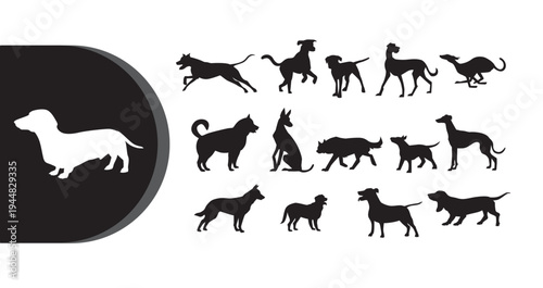 A collection of dog silhouettes in various poses on a white background