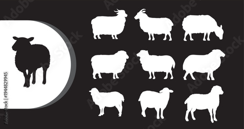 A collection of white and black sheep silhouettes on a dark background