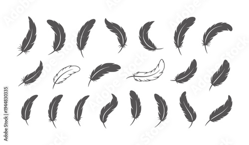 Collection of dark grey bird feathers in various poses and styles quill down plume