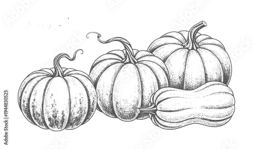 Vintage of assorted pumpkins and gourds in a cluster squash autumn harvest