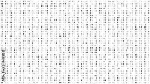 Monochrome Bitstream Array - Precise Binary Logic Distribution and Data Infrastructures