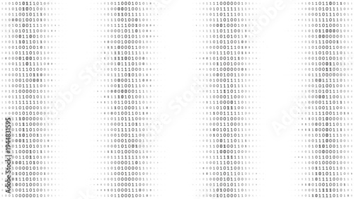 Monolithic Binary Columns - Minimalist Digital Data Distribution in Grayscale