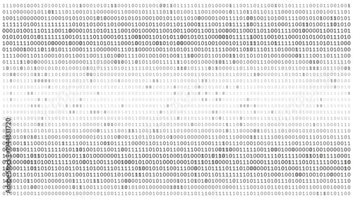 Monolithic Data Field - High Density Binary Code Grid for Enterprise Computing