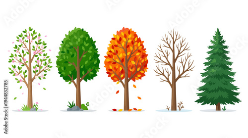 A visual journey through the changing seasons a collection of five distinct trees illustrating the cycle of nature