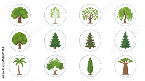 Collection of various types of trees depicted in a flat vector illustration style, showcasing diverse foliage and botanical forms for design purposes