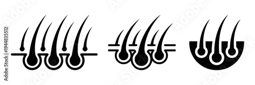 Hair Follicle Anatomy Icon with Scalp and Root Structure Healthy Hair Growth and Dermatology Care Vector Symbol