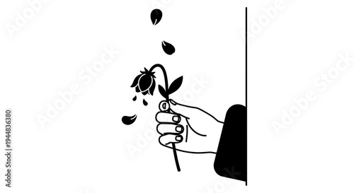 Hand holding a wilting black rose.