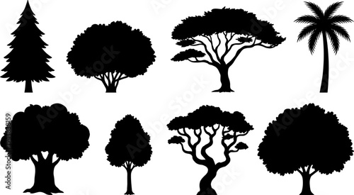Collection of tree silhouettes including pine, palm and deciduous forest trees, botanical nature vector illustration isolated set