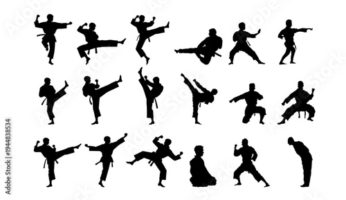 A collection of black silhouettes depicting various martial arts poses and movements.