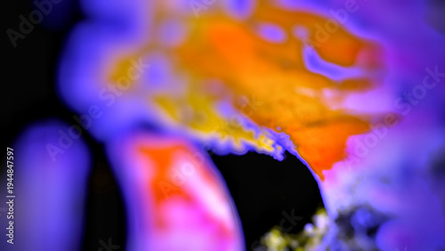 This colorful abstract macro image features flowing, organic shapes in neon purple, fiery orange, and deep black. The blurry, dreamlike texture creates a high-contrast, psychedelic digital background.