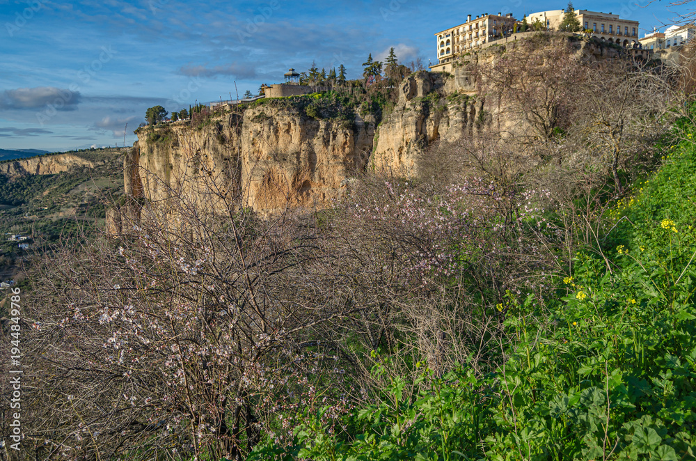 Fototapeta premium Cliffside buildings seen from the valley in Ronda, Spain