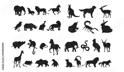 A collection of various animal silhouettes on a white background