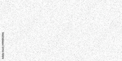 Fine granular texture in light gray and white creating a subtle speckled abstract background for digital art and design projects