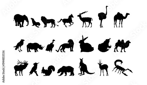 A collection of various animal silhouettes on a white background