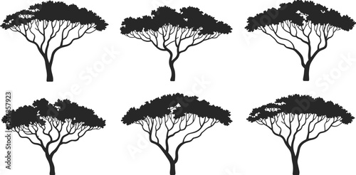 Acacia tree silhouette set with diverse canopy shapes, African savanna landscape illustration, ecological artwork and botanical design