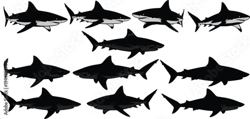 Shark Silhouette Collection Set Featuring Various Ocean Predator Species in Different Poses Black Marine Animal Vector Illustration Bundle