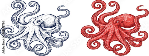 Set of two vintage engraved octopus illustrations featuring intricate hand-drawn line art and cross-hatching in deep navy blue and terracotta red on white.