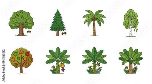 Collection of various cartoon trees, including deciduous, coniferous, palm, and fruit-bearing varieties