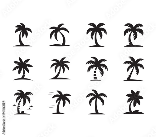 Tropical Palm Tree Silhouettes designs with