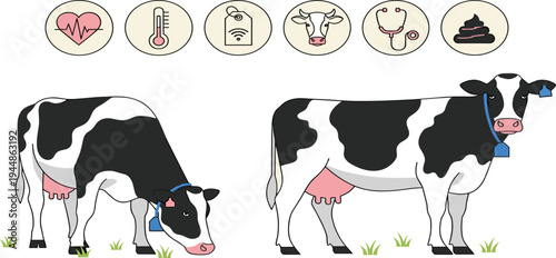Dairy Cow Health and Farming Illustration with Grazing Cow, Standing Cow, and Veterinary Icons Representing Livestock Care, Agriculture, Milk Production, and Animal Health