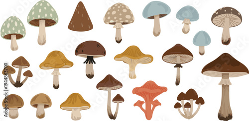 Mushroom Collection Vector Set with Forest Fungi Toadstools and Edible Wild Mushrooms for Nature Illustration Autumn Design and Botanical Clipart