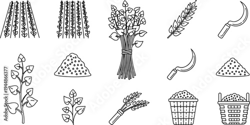 Agricultural Farming and Harvesting Illustration Set Featuring Crops, Wheat, Baskets, and Tools for Farm and Food Branding