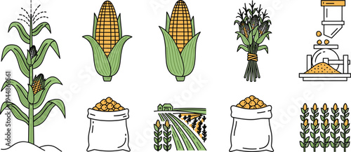 Corn Harvesting and Processing Illustration Set Featuring Corn Plants, Cobs, Bags, and Milling for Agricultural and Food Branding