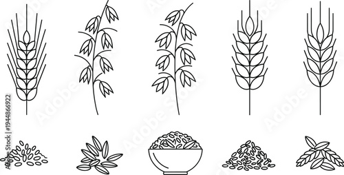 Wheat Stalks, Grains, and Seeds Illustration Set Featuring Bowls and Wheat Plants for Agricultural and Food Branding