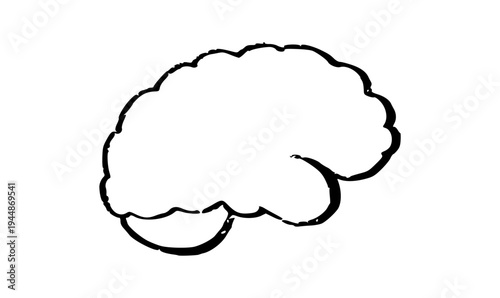 Human brain structure