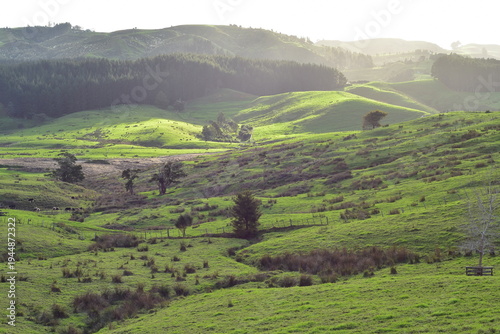 Light and shadows over rolling hills with patches of trees and scrub and paddock wire fences in Rodney District. Location: Auckland New Zealand