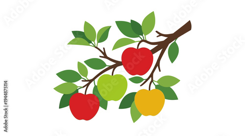 Flat vector illustration of apple fruit on tree branch with leaves, orchard farming concept