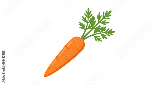 Flat vector illustration of carrot vegetable with green leaves, fresh farm produce concept 