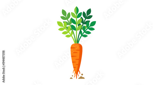 Flat vector illustration of carrot vegetable with green leaves, fresh farm produce concept 
