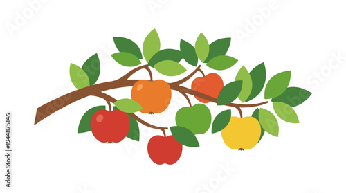 Flat vector illustration of apple fruit on tree branch with leaves, orchard farming concept