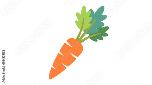 Flat vector illustration of carrot vegetable with green leaves, fresh farm produce concept 