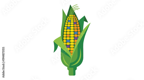 Flat vector illustration of corn cob with green leaves, agriculture crop concept, solid random colors 
