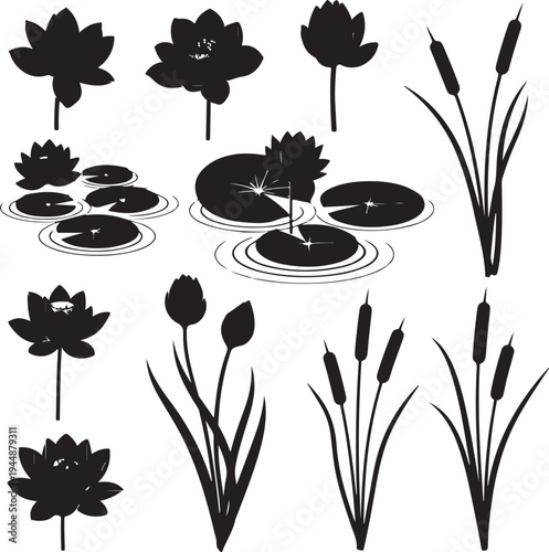 Black and white silhouettes of lotus flowers and cattails on white background