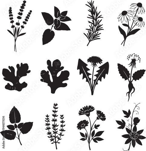 Black silhouettes of various flowers and leaves on white background