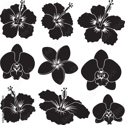 Black silhouettes of various flowers on white background
