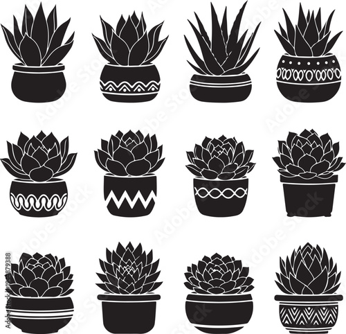 Set of succulent plants in pots with different patterns and designs
