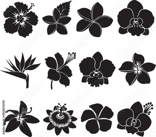 Setofvarioustropicalflowersilhouettesonwhitebackground