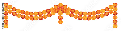 Yellow orange marigold flowers border. Indian traditional floral festive garland toran. Zendu flowers isolated on background. Party decor. Halloween, Dia de los Muertos holiday. Vector illustration