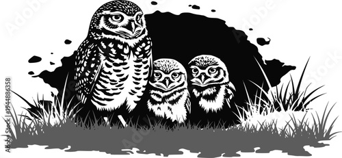 Burrowing owl (Athene cunicularia) chicks at nest burrow. Monochrome vector illustration. Transparent background EPS version.