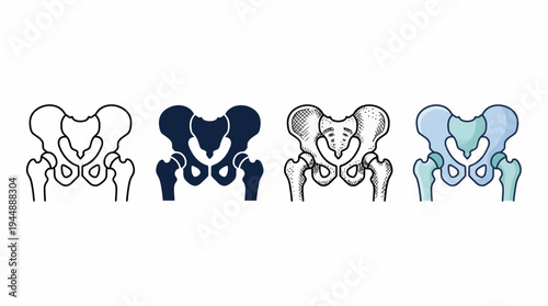 Human pelvis and hip bone icon set with outline, silhouette, engraved and flat color styles on white background, concept for medical education, orthopedic healthcare and anatomical illustration