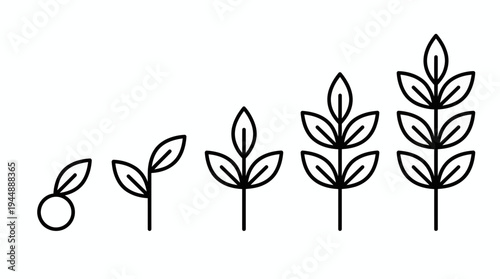 Minimalist black line icons showing five stages of plant growth from seed to tall leaf sprout isolated on white background, concept for business development, financial success and career progression