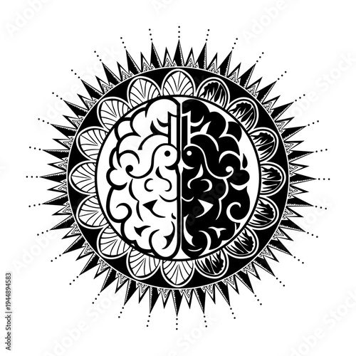 Filled style illustration showing right hemisphere anatomy