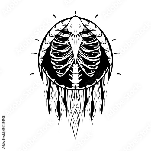 Vintage style illustration showing thoracic muscles anatomy