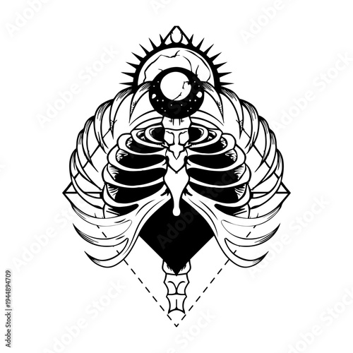 Vintage style illustration depicting lumbar skeleton structure