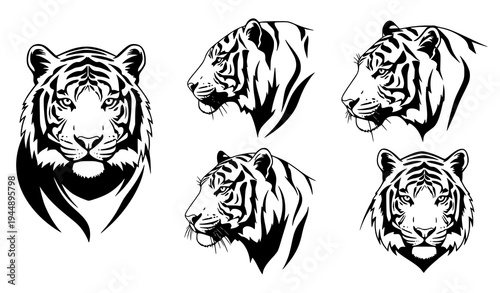 Tiger head silhouettes vector set with four different angles wildlife illustration isolated on transparent background