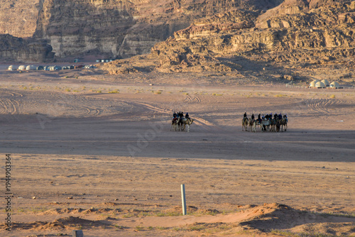 Horde of camels in the desert